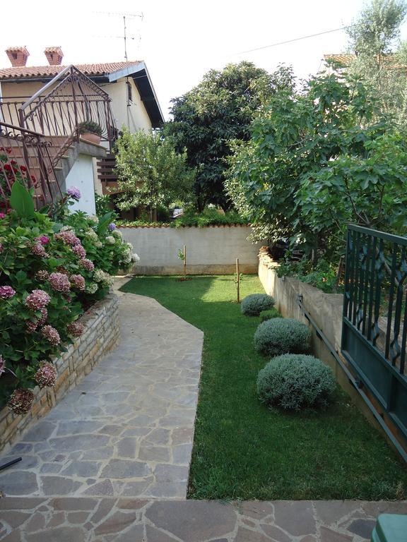 Apartments Mirela Novigrad  Bilik gambar