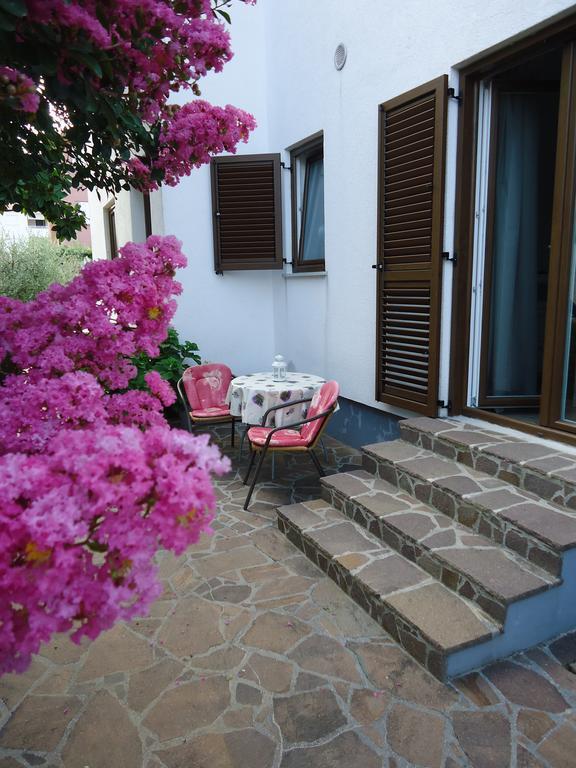 Apartments Mirela Novigrad  Bilik gambar